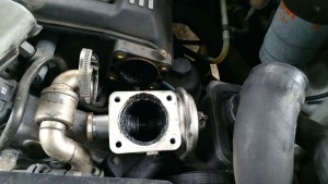 20150727_162706_resized_1