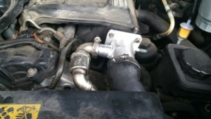 20160827_093445_resized