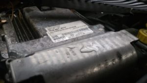 optimized-20151119_153004