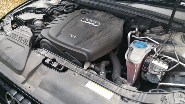 Optimized-20170228_145758