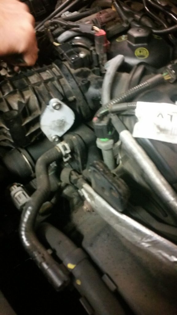 20170908_135531_resized