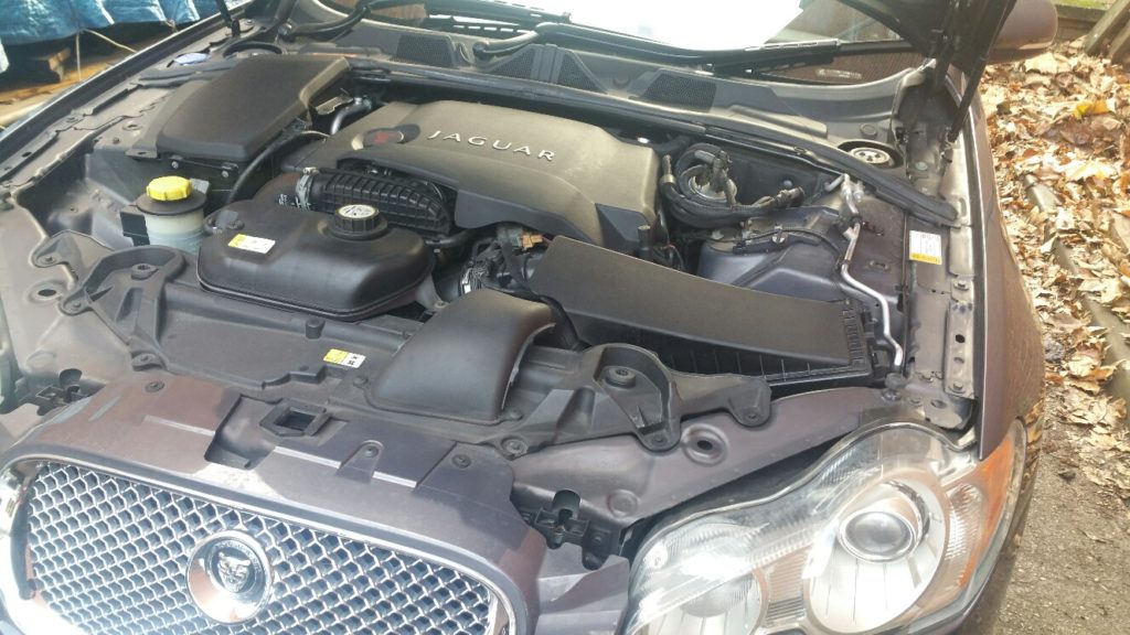 20171115_112735_resized_1